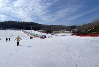 亚布力滑雪一日游【初级滑雪3小时、含雪具、车、导、中餐】【经济团：费用包含=往返车费+中餐+初级滑雪--学具（雪鞋、雪板、雪仗）。】