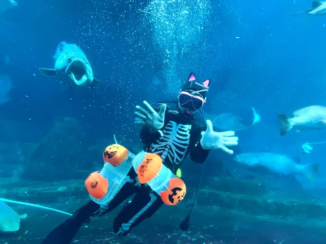 遠雄海洋公園夜宿水族館大洋池