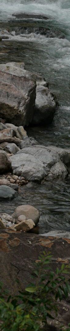 武夷山国家公园1号风景道-武夷山