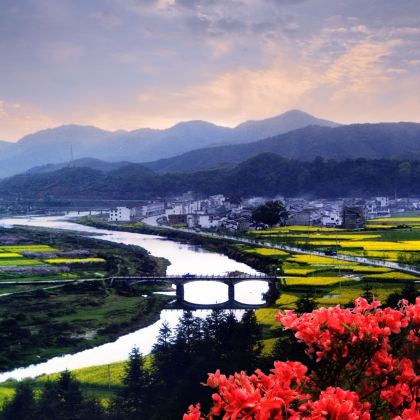 黄山风景区+婺源+宏村景区3日2晚跟团游