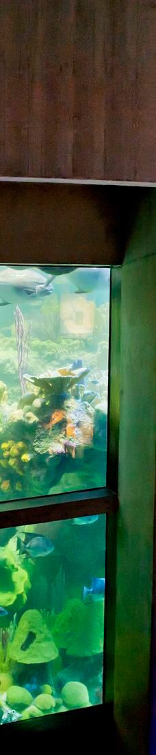 新英格兰水族馆-波士顿