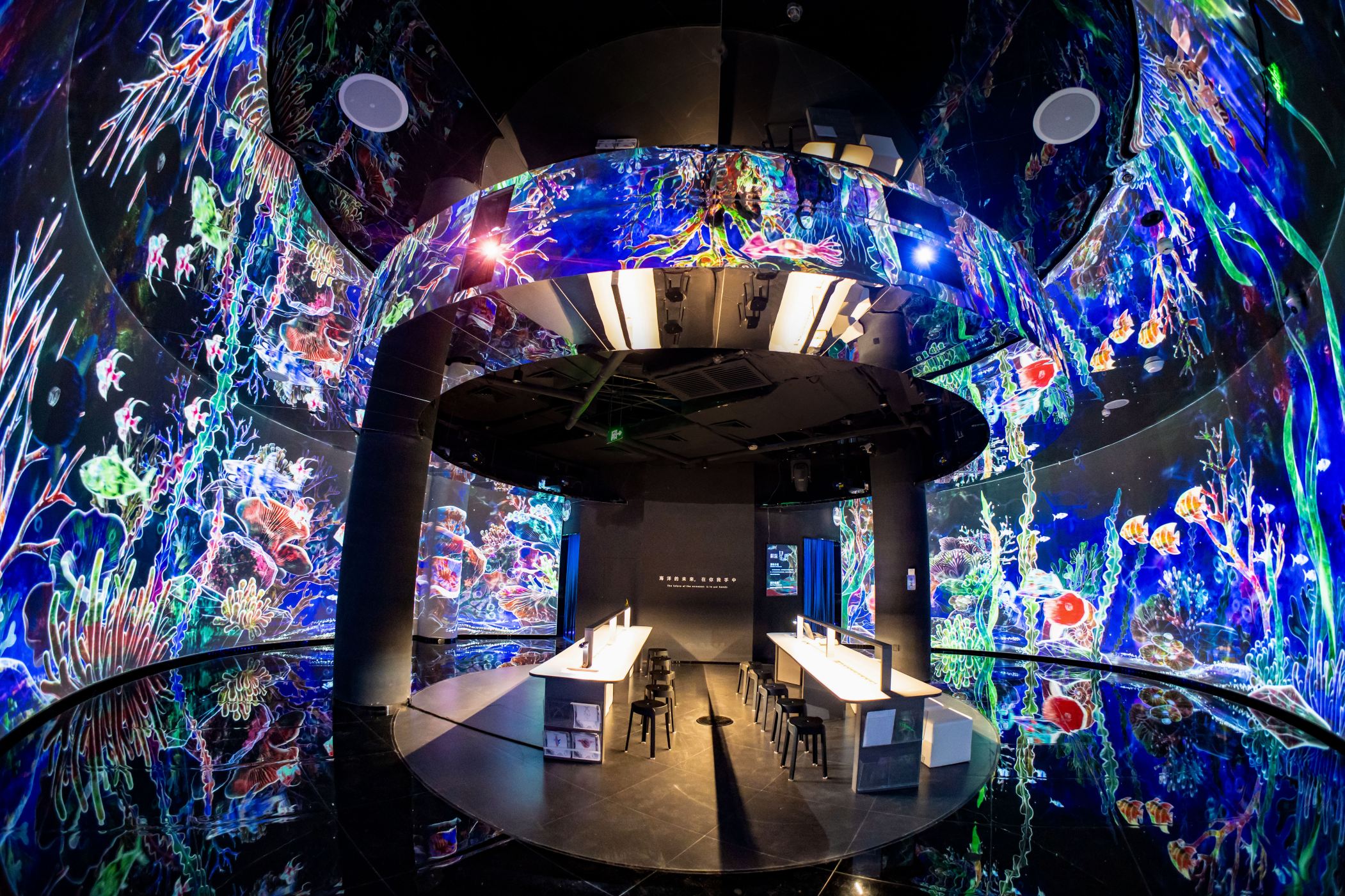 Gallery 3