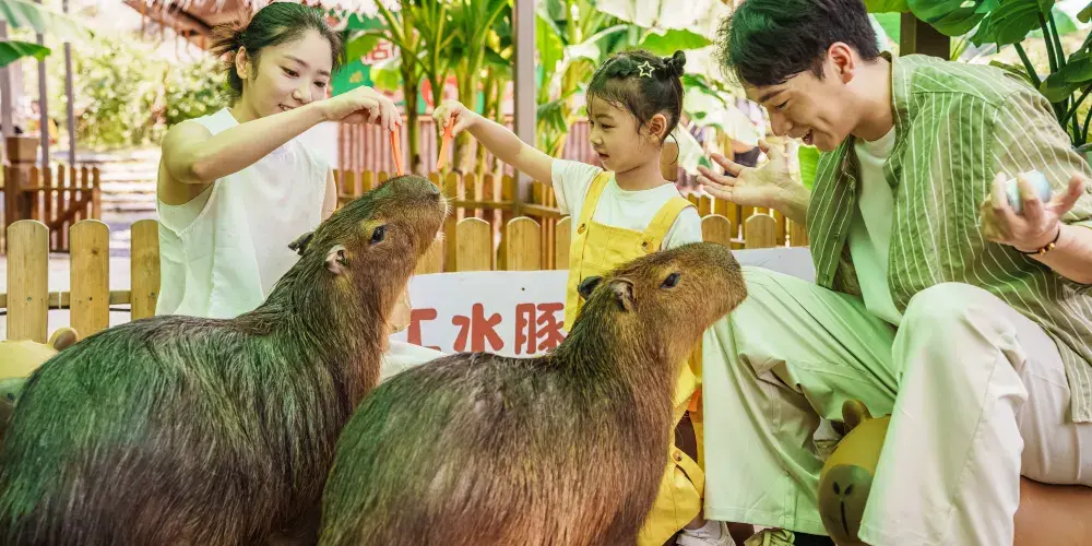 永安旅遊