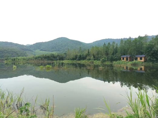 潼泉湖休闲旅游区