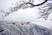 米仓山国家森林公园景点图片