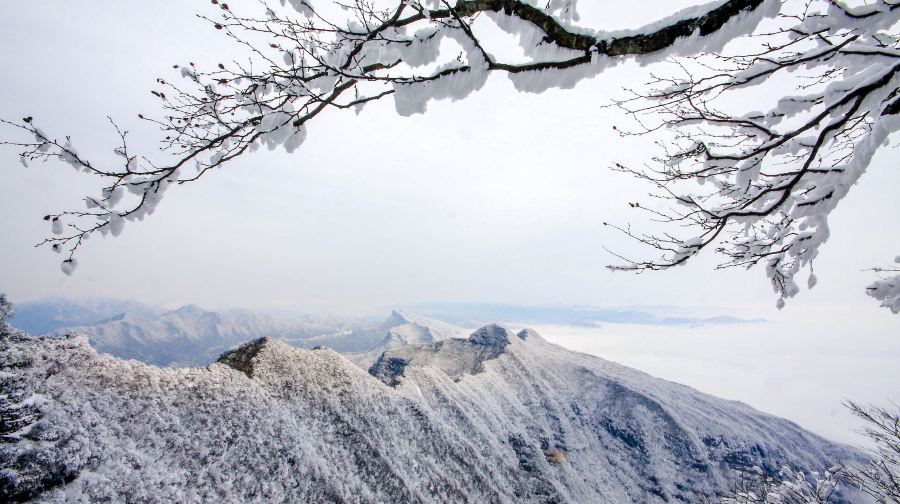 米仓山国家森林公园