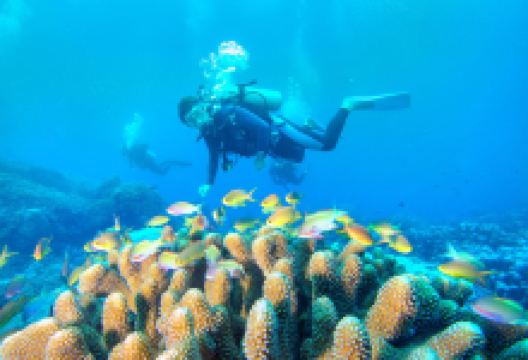 大东海景点图片