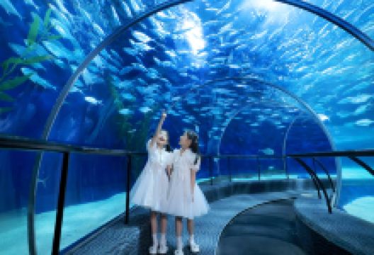 上海海洋水族馆景点图片