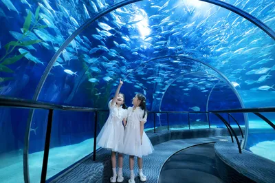 上海海洋水族馆