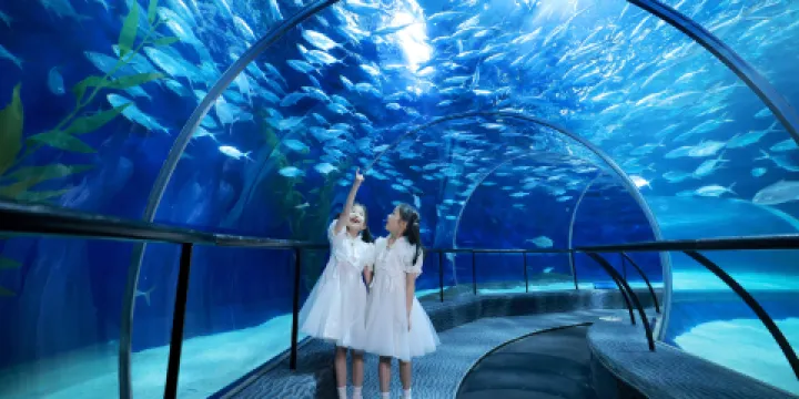 上海海洋水族館