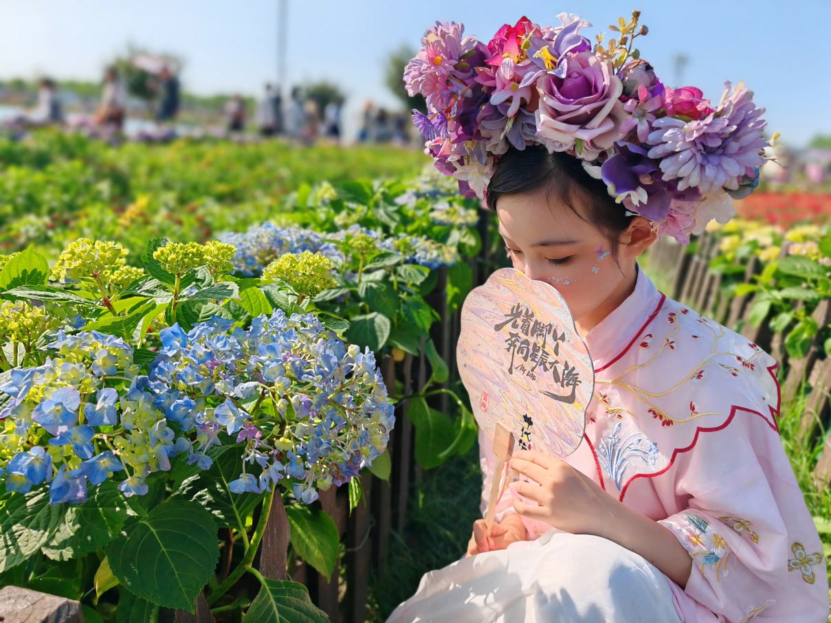 音乐百花谷