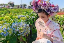 音乐百花谷景点图片