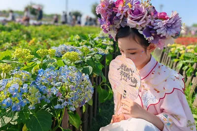 音乐百花谷
