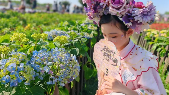 音樂百花谷