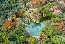海南百花岭热带雨林文化旅游区景点图片
