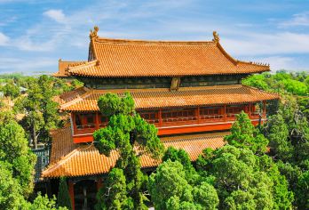 曲阜三孔一日游【含门票，15人内团，2人就可出团】全程纯玩【商务小团，2人就可出团，天天发团，市区上门接】