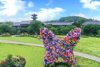 无锡鼋头渚+拈花湾一日游【观红嘴鸥&赏湖泊风光&禅意日夜游】【[亮点1]冬日限定观红嘴鸥，良心做产品，纯纯的只剩下玩、不玩套路、不打插边球、不倒团不卖团！】