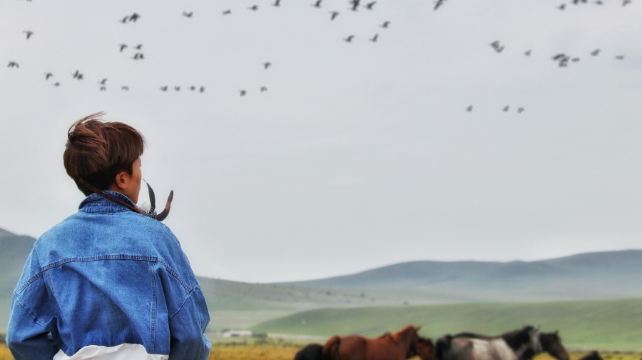 黑山头巴特尔骑马场