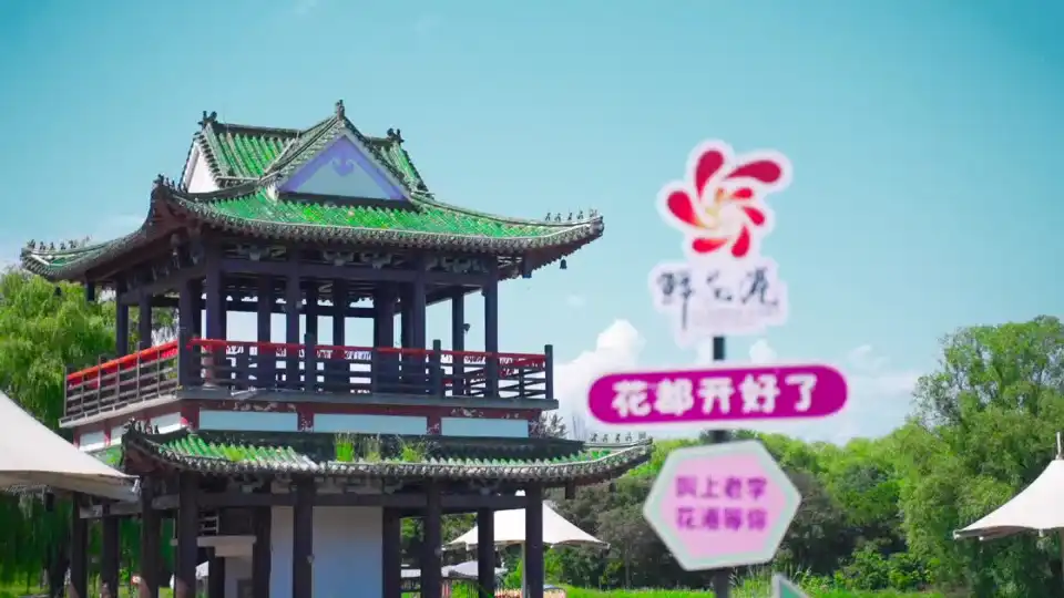 top-video