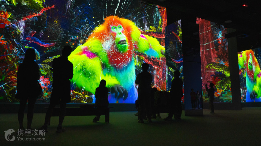 Immersify Kuala Lumpur