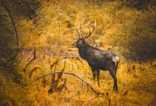 二郎山喇叭河风景区景点图片