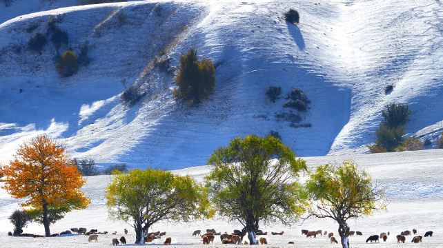 那拉提旅游风景区