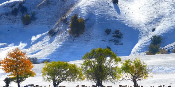那拉提旅遊風景區