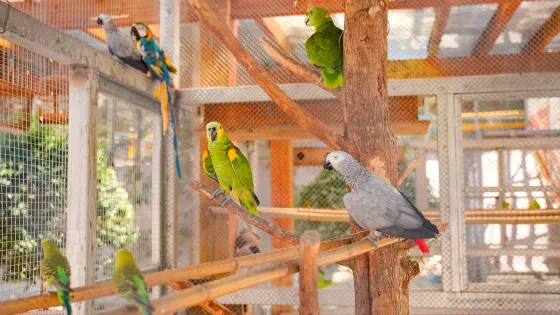金華動物園