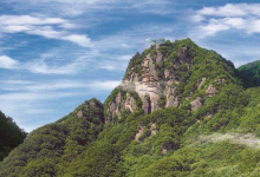 红河谷森林公园景点图片