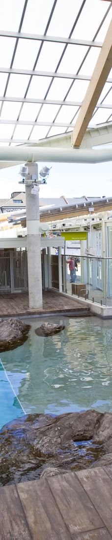 新英格兰水族馆-波士顿