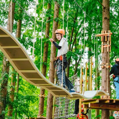 上海+南京+无锡+苏州+嘉兴+绍兴+杭州6日5晚跟团游