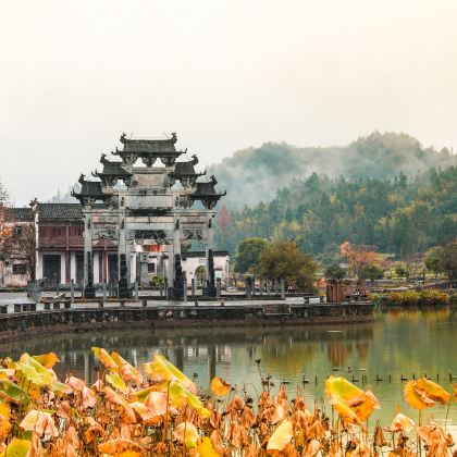 江西婺源+黄山5日4晚私家团