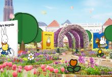 豪斯登堡景点图片