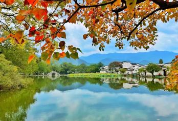 西递+宏村景区一日游【市区接送●含中餐●多个套餐可选】【[一价全含]全部门票+市区往返大巴+导游服务+免费咨询】