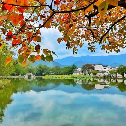 黄山风景区+西递+宏村景区+婺源篁岭景区+新安江山水画廊7日6晚跟团游