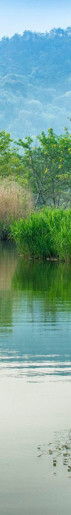 下渚湖·湿地公园-德清