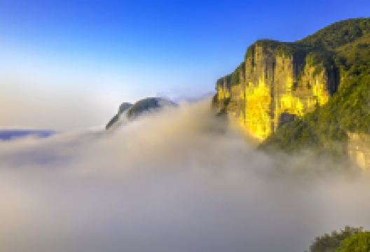 金佛山景点图片