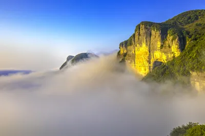 金佛山