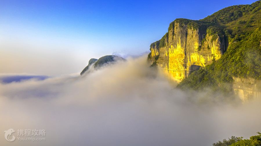 金佛山