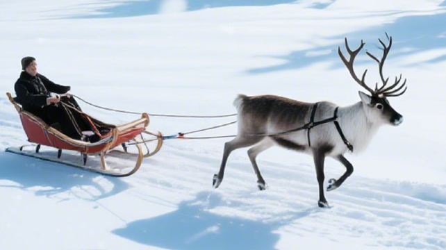 大庆冰河世纪猛犸乐园