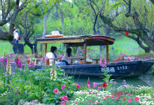 西溪国家湿地公园景点图片