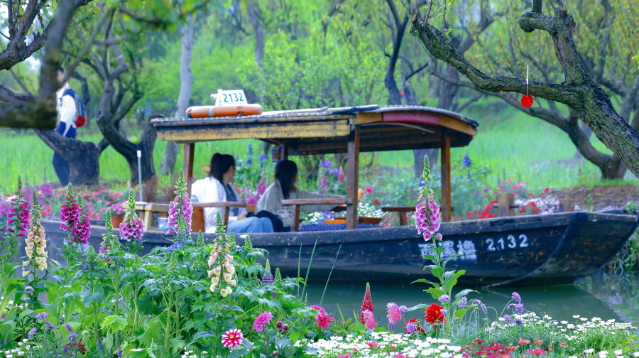 西溪国家湿地公园