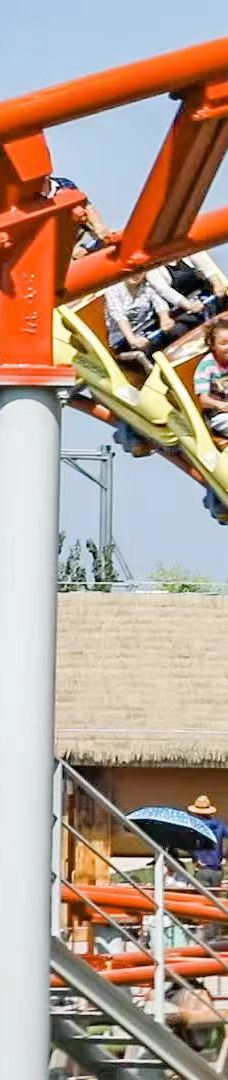 中国·周原-岐山