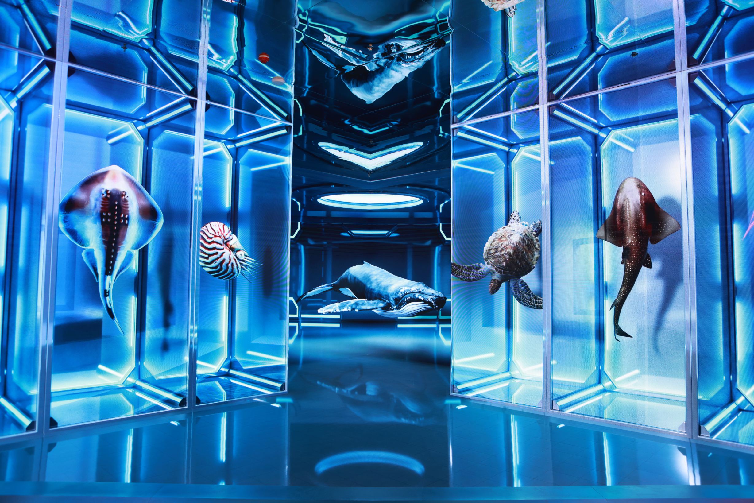 Gallery 1