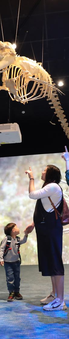 台湾自然科学博物馆-台中