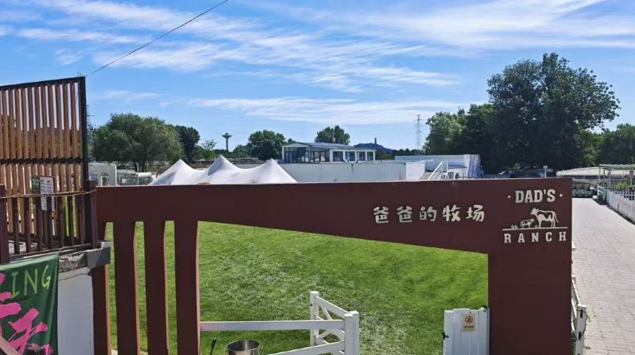 爸爸的牧场