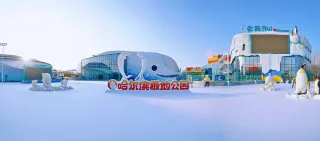 哈爾濱2日遊:體驗東北虎林園的野性風光和松花江觀光索道的美景