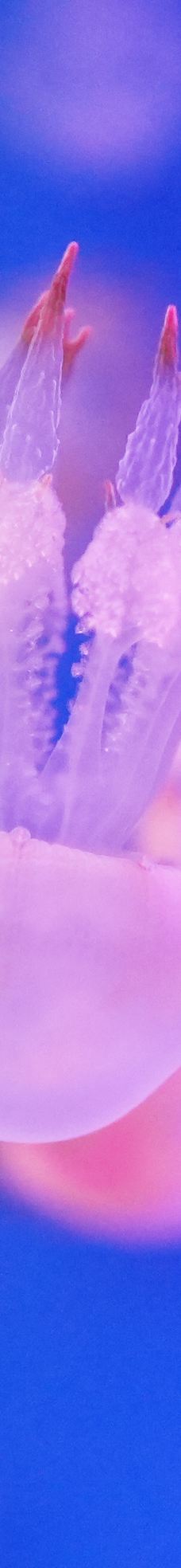 海滨城浩海立方海洋公园-成都