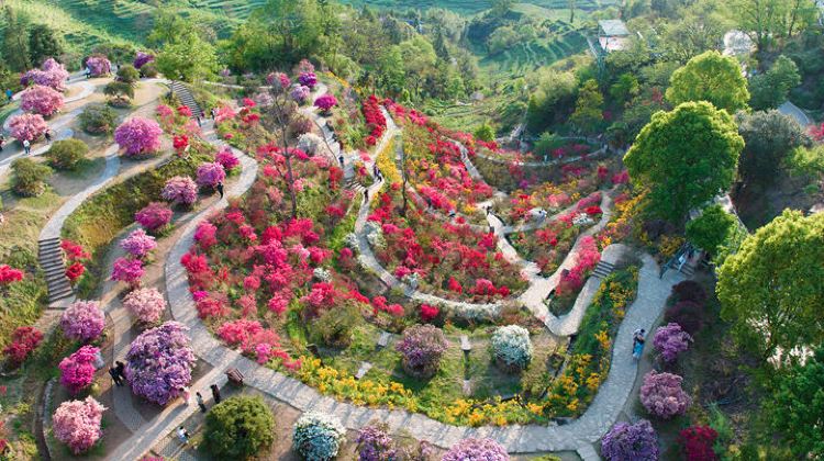 5-Day Huangshan Scenic Area+ Hongcun Village+Wuyuan Huangling+Qiyunshan Mountain Ecological And Cultural Tourism Zone