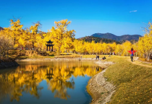 千年银杏谷文化旅游区景点图片